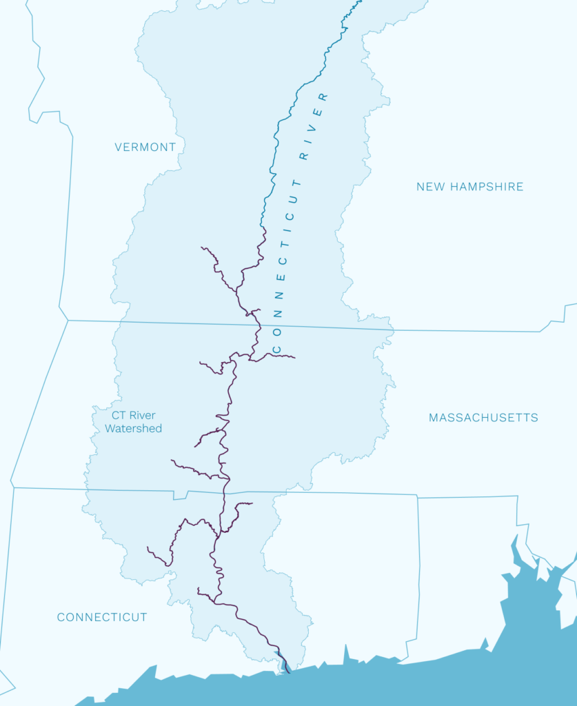 Migration range map of the American Shad