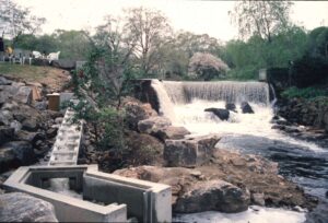 Mary Steube dam